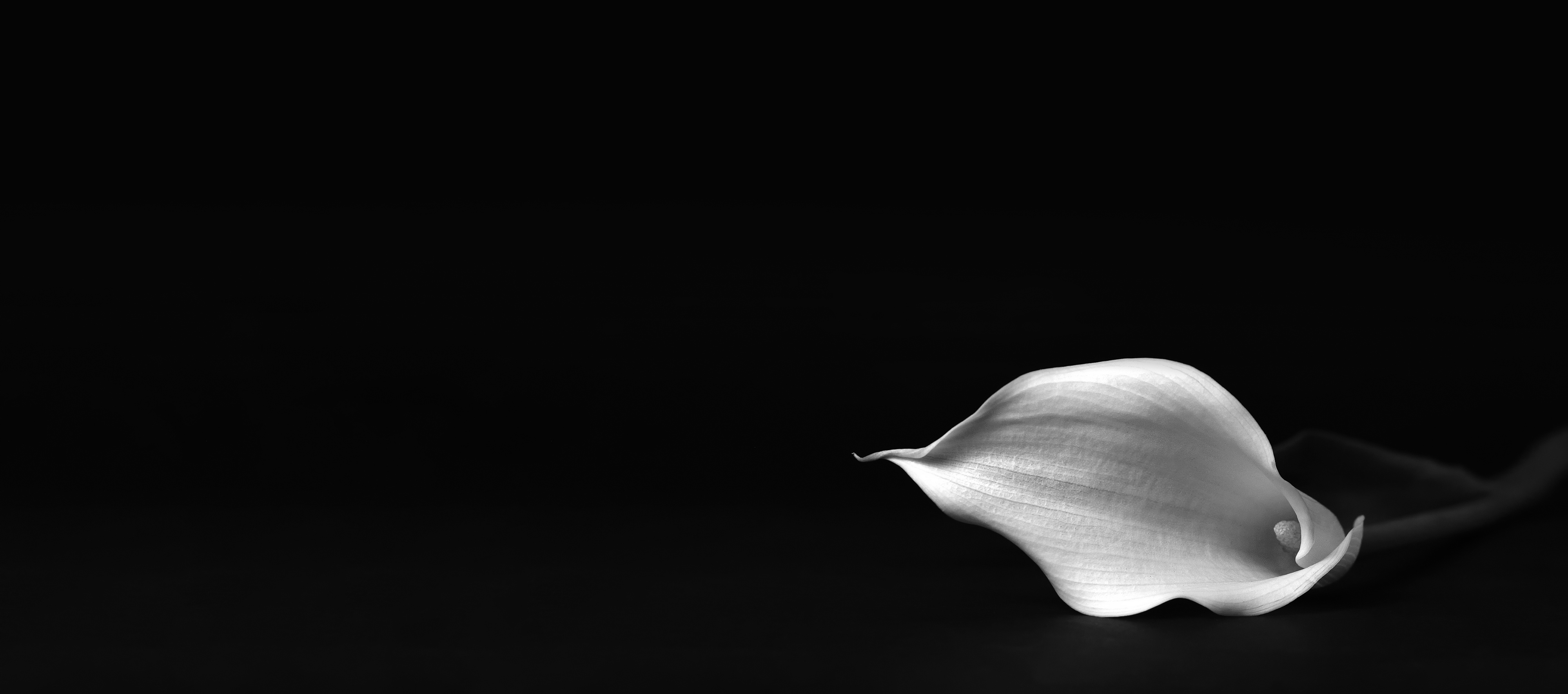 Slideshow Image 1